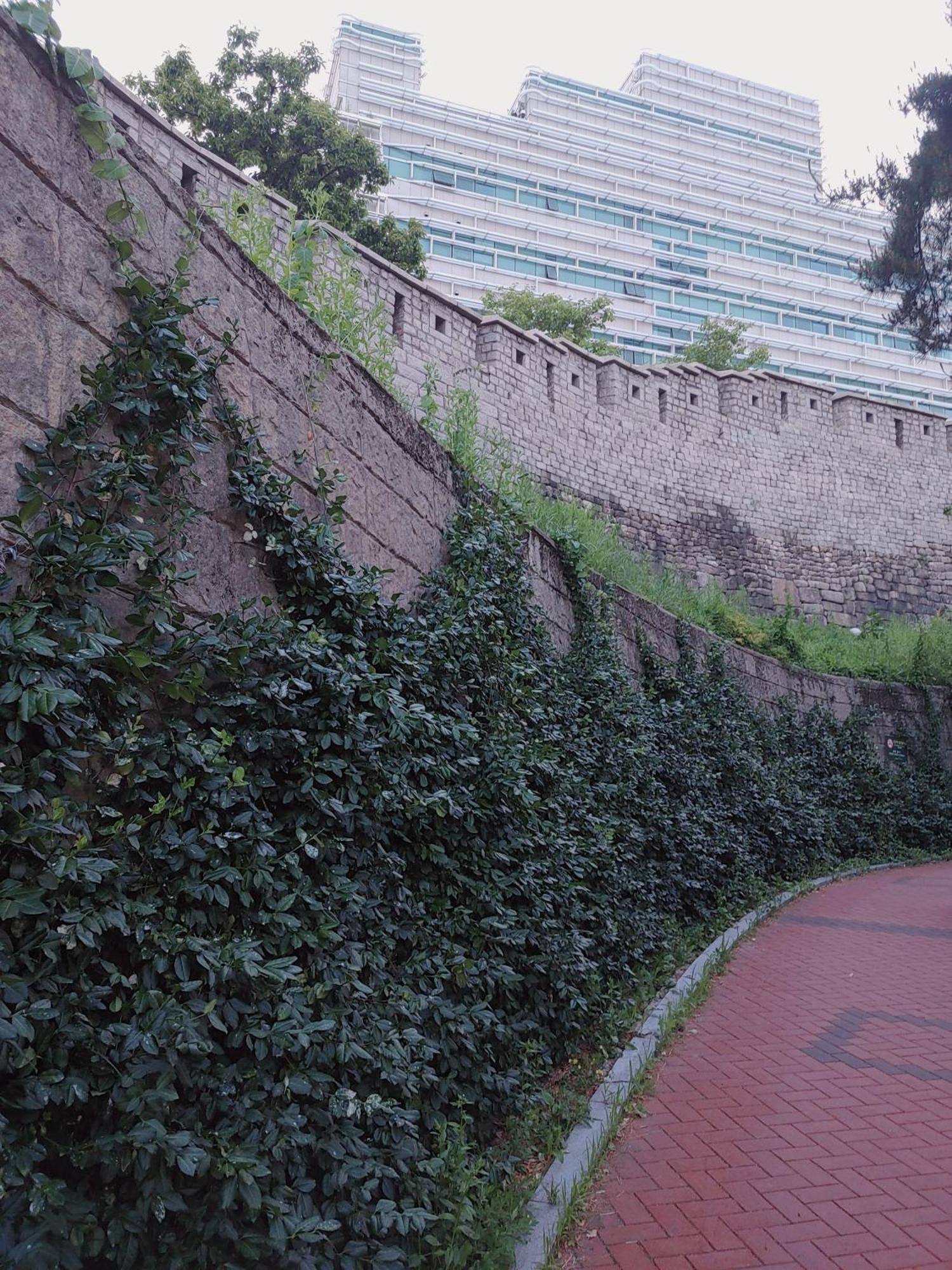Cobe Guesthouse Dongdaemun Seul Zewnętrze zdjęcie