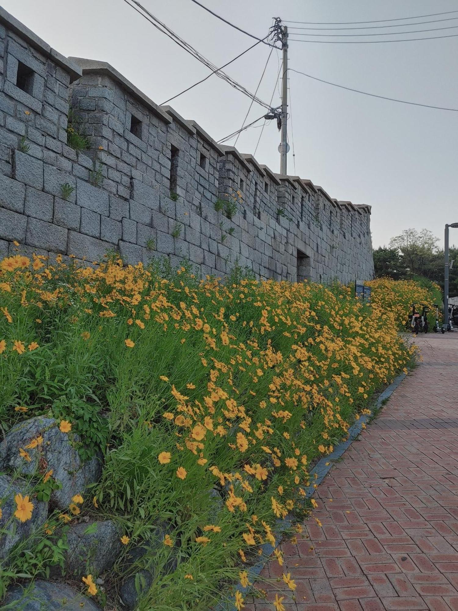 Cobe Guesthouse Dongdaemun Seul Zewnętrze zdjęcie